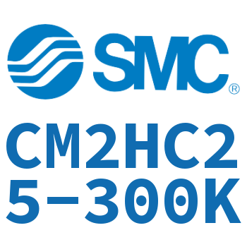 气液联用标准型气缸 CM2HC25-300K