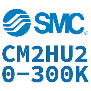 气液联用标准型气缸 CM2HU20-300K