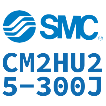 气液联用标准型气缸 CM2HU25-300J