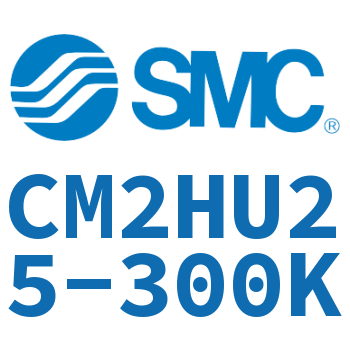 气液联用标准型气缸 CM2HU25-300K