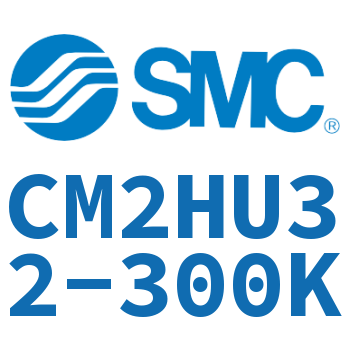气液联用标准型气缸 CM2HU32-300K