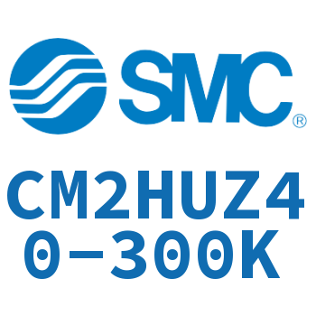 气液联用标准型气缸 CM2HUZ40-300K