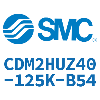 气液联用标准型气缸 CDM2HUZ40-125K-B54