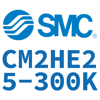 气液联用标准型气缸 CM2HE25-300K