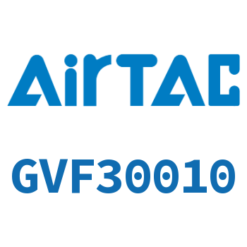 Vacuum filter-GVF30010