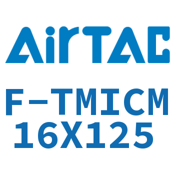 separate guide frame-F-TMICM16X125