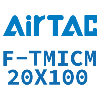 单独导向架 F-TMICM20X100