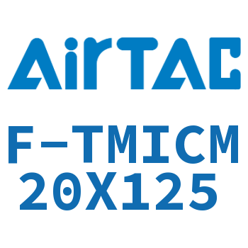 单独导向架 F-TMICM20X125