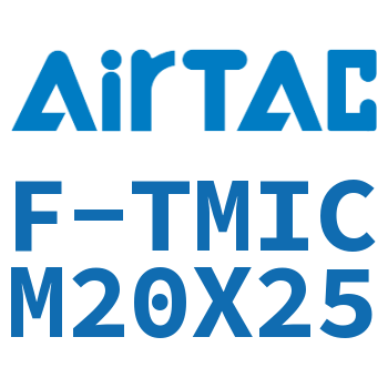 单独导向架 F-TMICM20X25