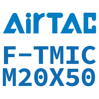 单独导向架 F-TMICM20X50