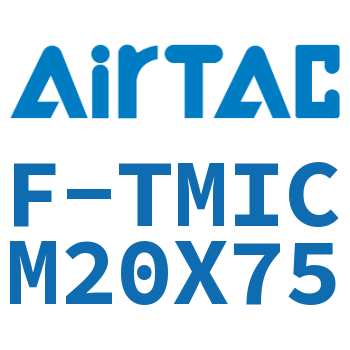 单独导向架 F-TMICM20X75