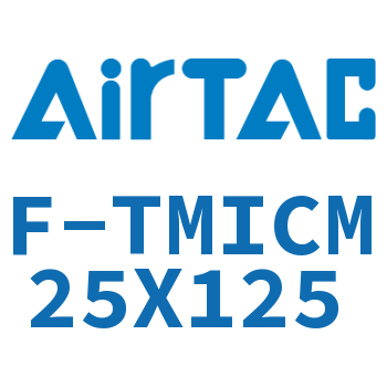 单独导向架 F-TMICM25X125