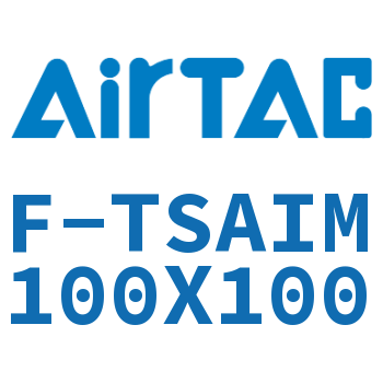 单独导向架 F-TSAIM100X100