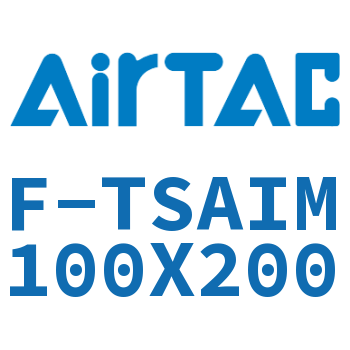 单独导向架 F-TSAIM100X200