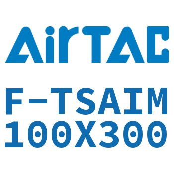 单独导向架 F-TSAIM100X300