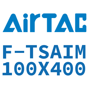 单独导向架 F-TSAIM100X400