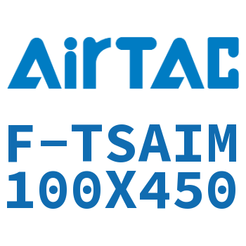 单独导向架 F-TSAIM100X450