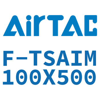 单独导向架 F-TSAIM100X500