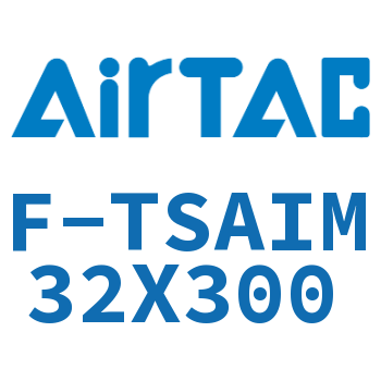 单独导向架 F-TSAIM32X300