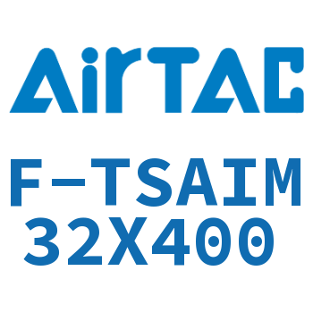 单独导向架 F-TSAIM32X400
