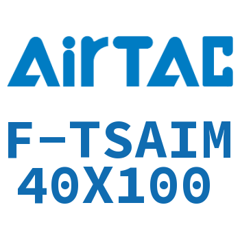 单独导向架 F-TSAIM40X100