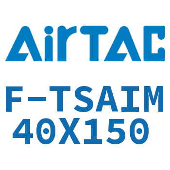 单独导向架 F-TSAIM40X150