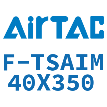 单独导向架 F-TSAIM40X350