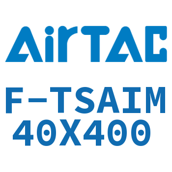 单独导向架 F-TSAIM40X400