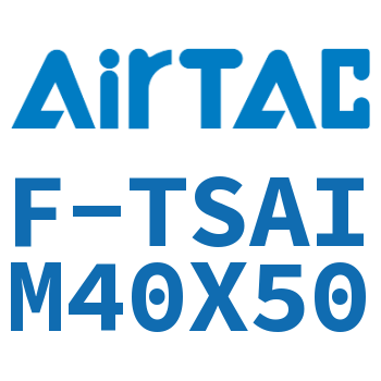 单独导向架 F-TSAIM40X50