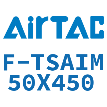 单独导向架 F-TSAIM50X450