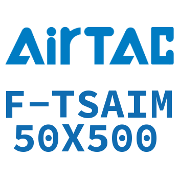 单独导向架 F-TSAIM50X500