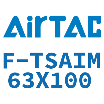 单独导向架 F-TSAIM63X100