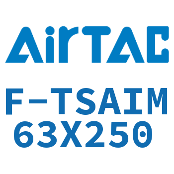 单独导向架 F-TSAIM63X250