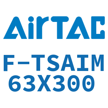 单独导向架 F-TSAIM63X300