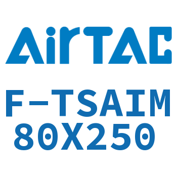 单独导向架 F-TSAIM80X250