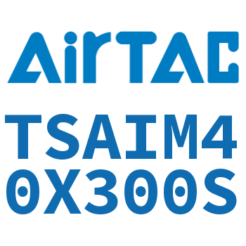 带导向架气缸 TSAIM40X300S
