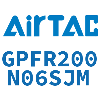 调压精密过滤器 GPFR200N06SJM