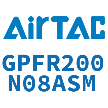 调压精密过滤器 GPFR200N08ASM