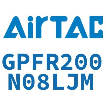 调压精密过滤器 GPFR200N08LJM