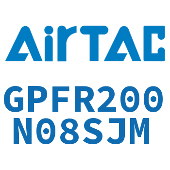 调压精密过滤器 GPFR200N08SJM