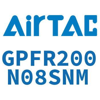 调压精密过滤器 GPFR200N08SNM