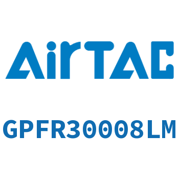 调压精密过滤器 GPFR30008LM