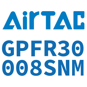 调压精密过滤器 GPFR30008SNM