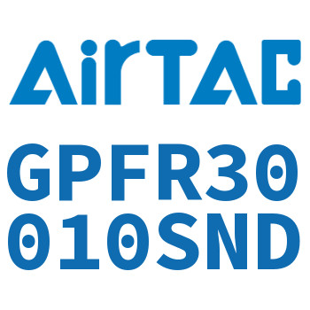 调压精密过滤器 GPFR30010SND