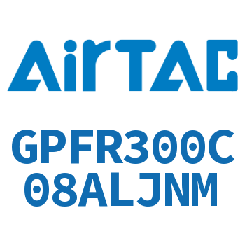 调压精密过滤器 GPFR300C08ALJNM