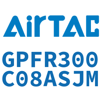 调压精密过滤器 GPFR300C08ASJM