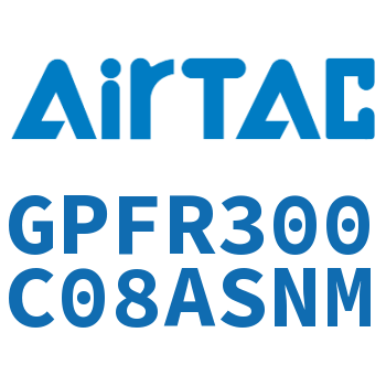 调压精密过滤器 GPFR300C08ASNM