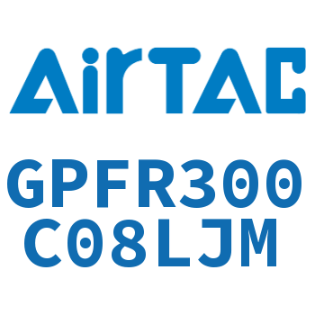 调压精密过滤器 GPFR300C08LJM