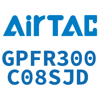 调压精密过滤器 GPFR300C08SJD