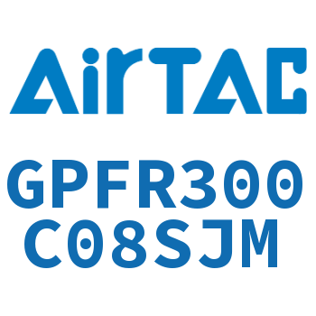 调压精密过滤器 GPFR300C08SJM
